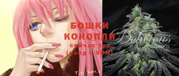 мескалин Богданович